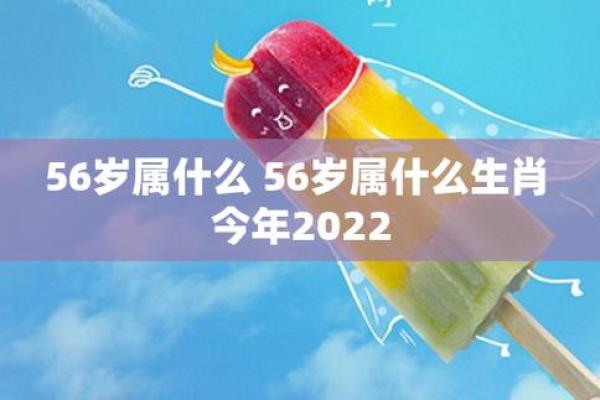 56岁属什么生肖，命理分析与人生智慧的启示