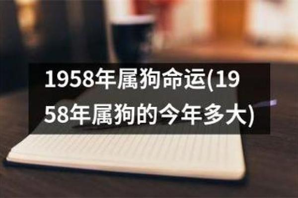 2015属狗的命运分析：探索性格、事业与爱情的多重面向