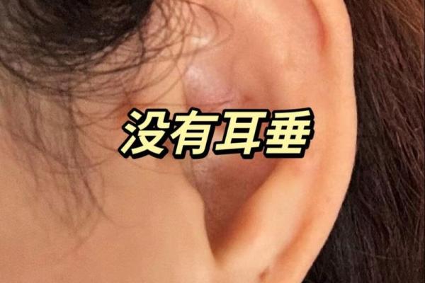 命运的剧本：如何根据命理成为明星与成功之路