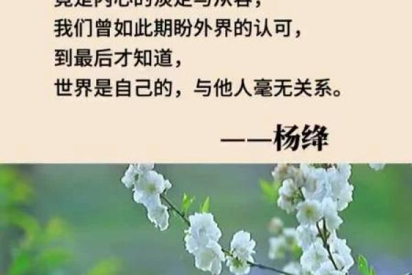 1973年出生牛人的命运解读：人生与事业的奇妙旅程