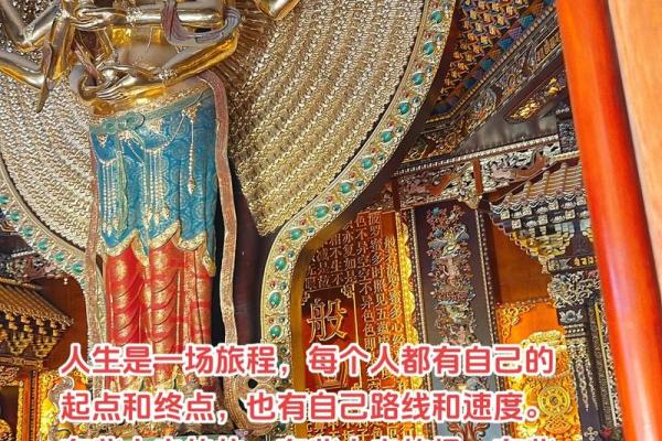 2022年生肖虎：勇敢与智慧的象征，开启新的人生旅程