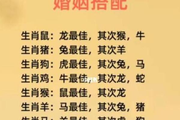 剑锋金命女配什么命男：配对解析与婚姻建议