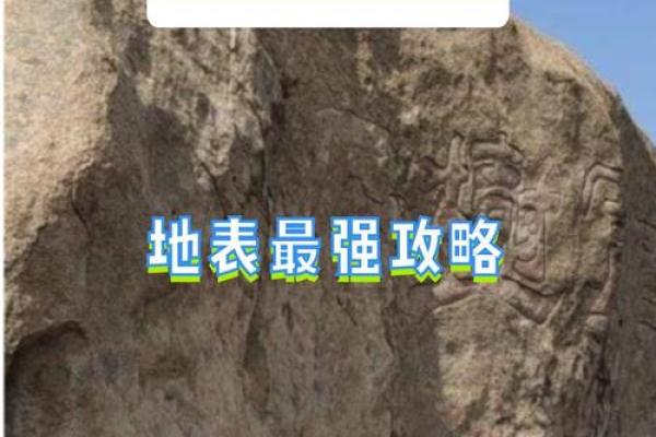 1974年1月4日出生的命运与人生探索：解读“木命”的独特魅力与人生历程