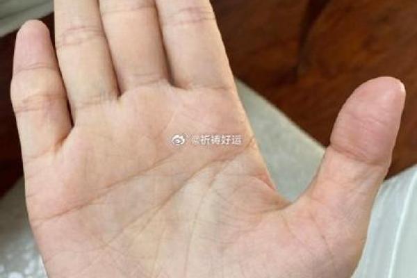 手指粗短的命运象征：你的人生密码解读