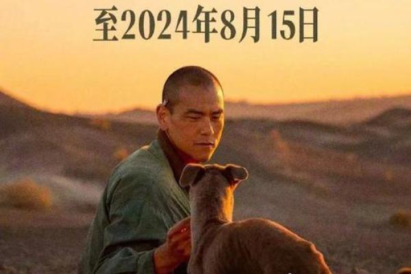 1963年，命运交织的岁月：人们的故事与希望的篇章