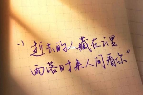 命如纸薄：探讨生命的脆弱与坚韧