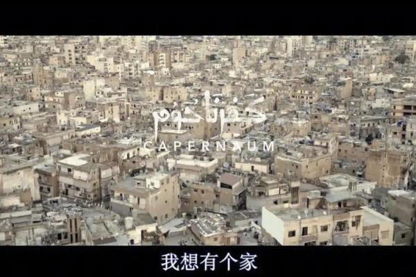 揭示“king”意义：探寻王者之道与人性的光辉