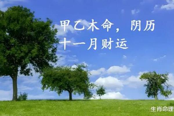 探究身偏弱木命：如何提升命格运势与人生智慧