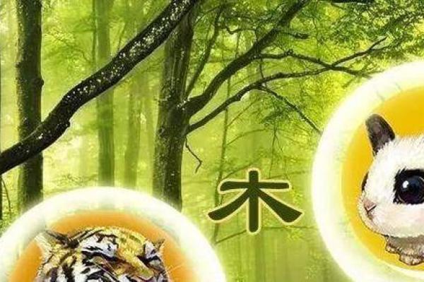 猪年出生的人：灵动智慧与财富的命运之旅