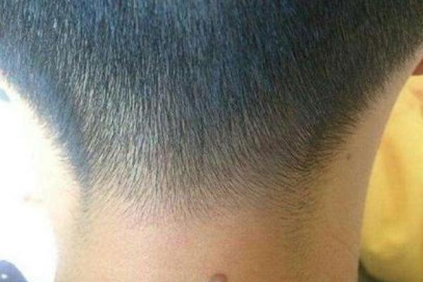 猪年出生的人：灵动智慧与财富的命运之旅