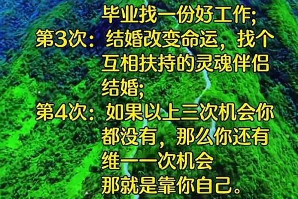 周易1976年出生人的命运解析与人生智慧