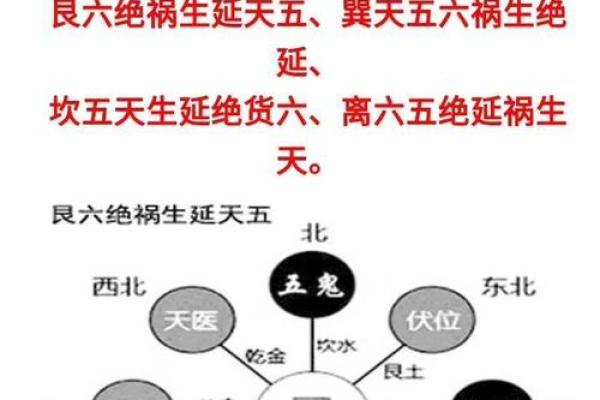 阴命人和阳命人的关系探秘：命理学与人生境遇的深度解析