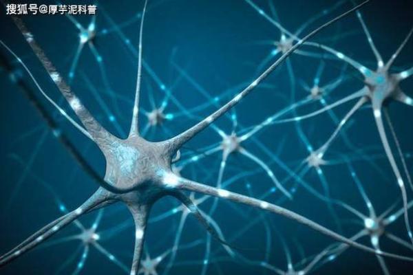 探寻19950320出生者的命理密码与人生奥秘