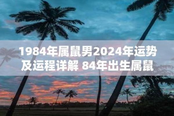 1984年出生的人：命运与个性揭秘