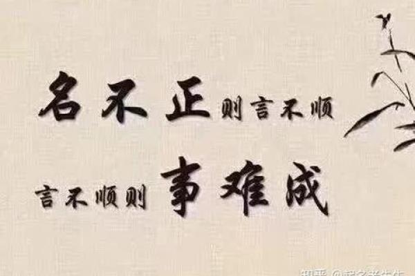 亥时出生的男孩：命理解析与人生运势的深度探索