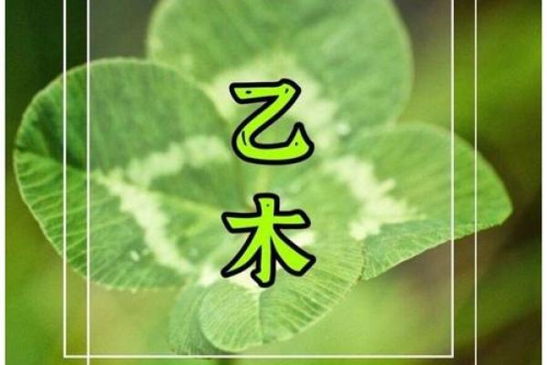 命理解析：木命人与财运亨通的最佳搭档指南