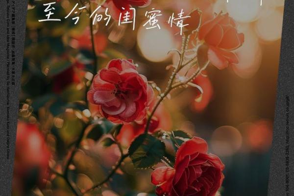命运的交织：那些陪我走过风雨的闺蜜们