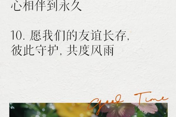命运的交织：那些陪我走过风雨的闺蜜们