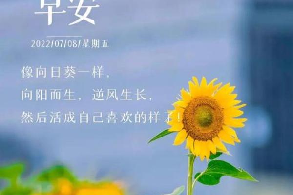金命与木命的旺衰：命理中的元素与人生的际遇