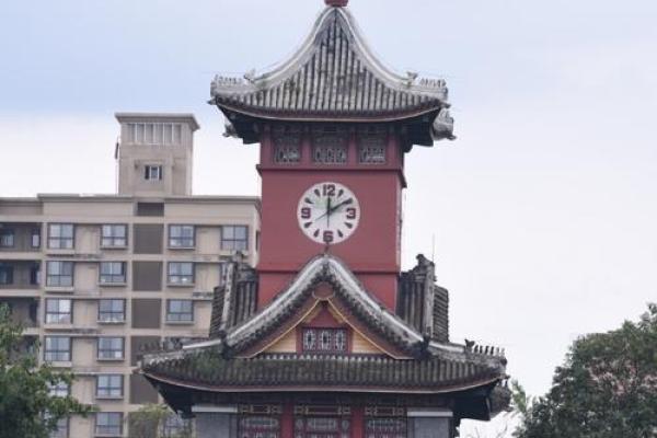 1995年属猪命运解析：如何把握人生机遇，走向辉煌人生！