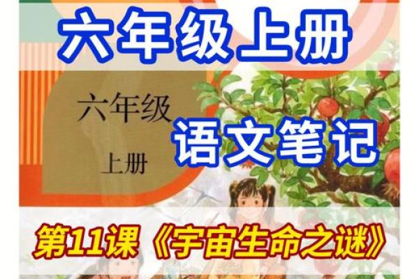命字的偏旁与结构分析：解锁生命之谜的语言之钥