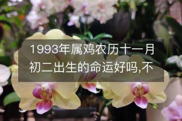 1986年11月2日农历生日的命运分析与人生启示