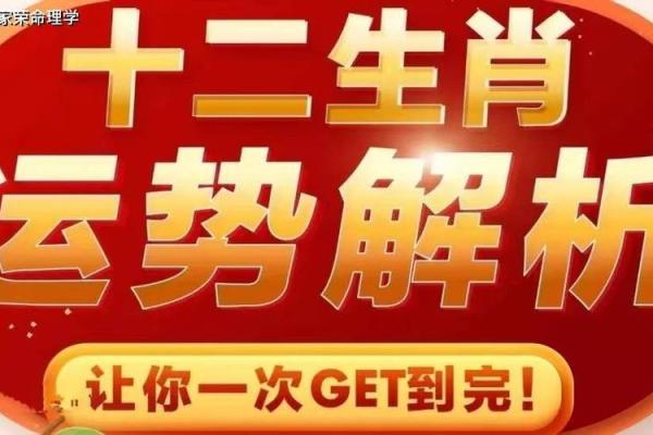 柳木命人适合佩戴的饰品与物品解析