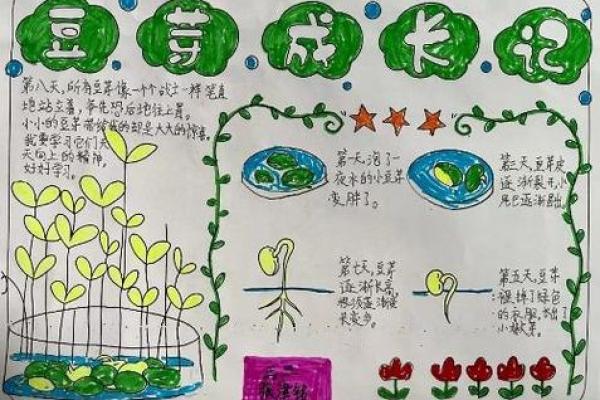 2019年出生的孩子命运解析：星辰与命理的奥秘