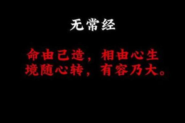 人随命走，命弄人的深刻哲理探讨