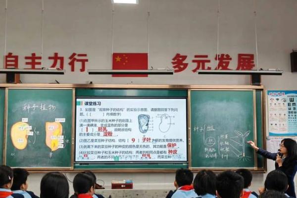 深入探索命理学的多元学科与应用价值