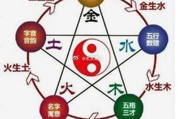 2017年出生宝宝的命理解析：五行与性格的深刻联系