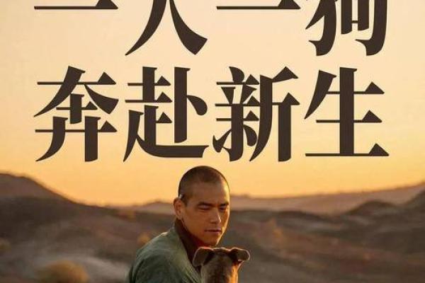 2020年狗年命运解析：如何把握生活中的机遇与挑战