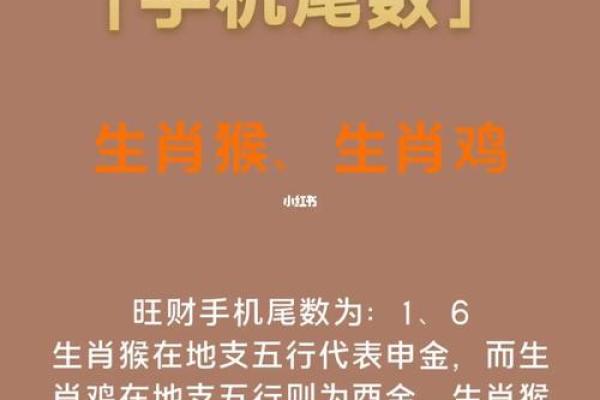 1964木龙命的命理解析与生活指导