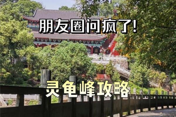 山火命人的职业选择：适合什么工作？让我们一探究竟！
