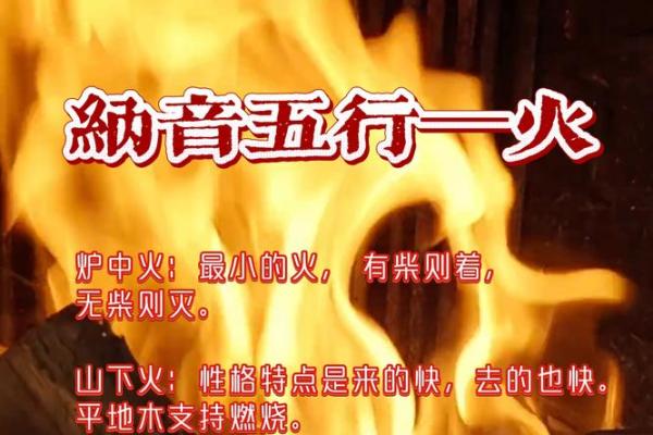 火命与五行配婚最佳组合探讨