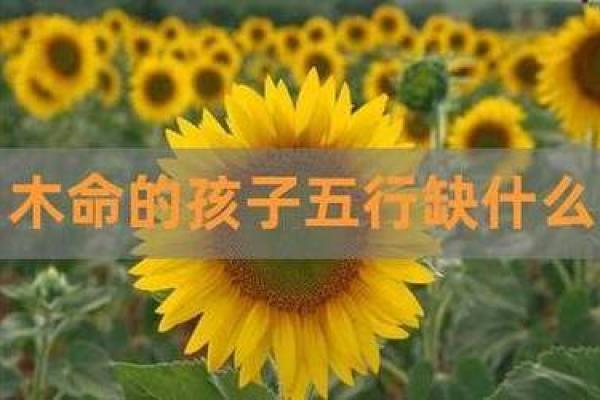 水命男适合找什么命的女人，爱情与命理完美结合！