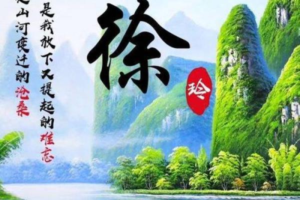 年年被车撞，命运背后的不解之谜与幸存者的故事