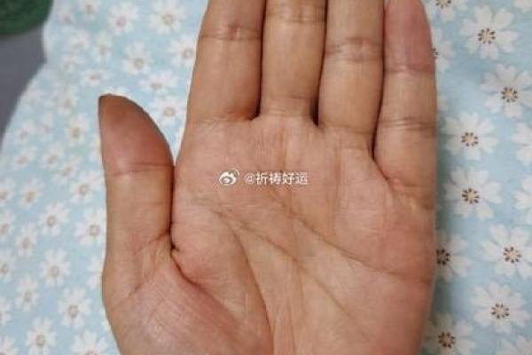 探索20030801命运密码：神秘数字背后的故事与启示