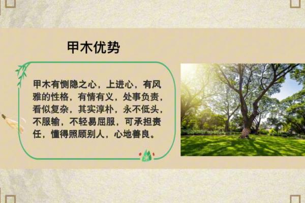 海中金命与天上火命的命理解析：八字背后的秘密