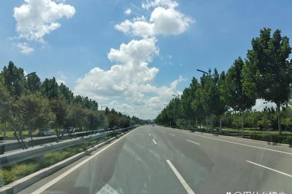 二十岁的人生命格：成就与挑战并存的青春旅程