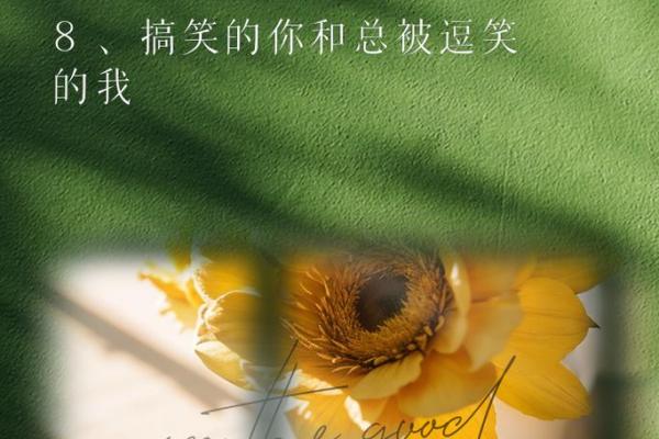 探秘“志强的命也是命”：生活中那些意想不到的幽默瞬间