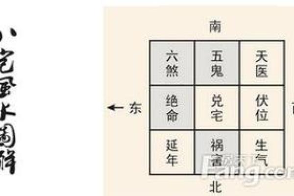 探秘命理：东四命与西四命的深度解析与运用