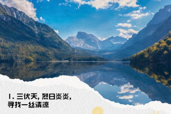 三个火的命：灼热生命中的阳光与挑战