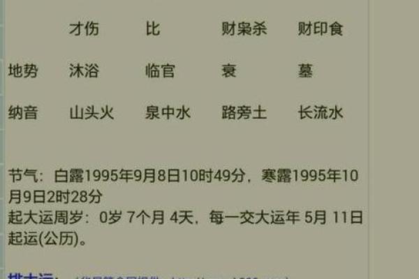 2028年猴年，八字命理解析与人生运势展望