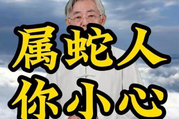 属蛇命里三条蛇的命格解析：揭秘神秘的命运之道