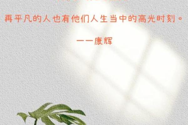挫折与成长：从低谷中扬起人生的风帆