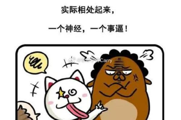 2006年是土象之年，揭秘属于土命的精彩人生
