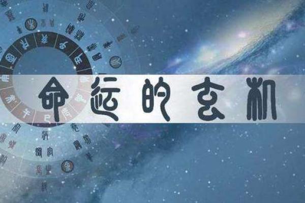 命理与命例的区别：揭示人生奥秘的两种视角
