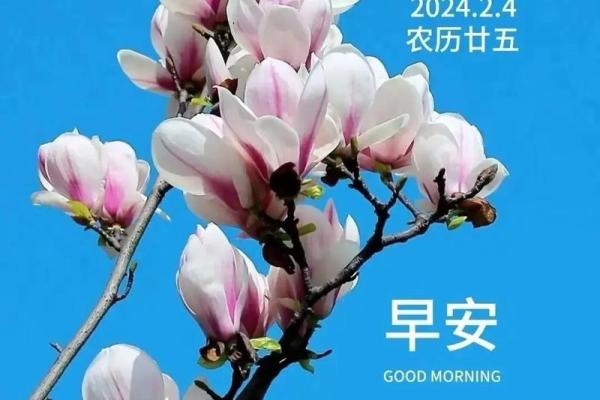 农历219年的命理解析：探寻生肖与命运的神秘联系