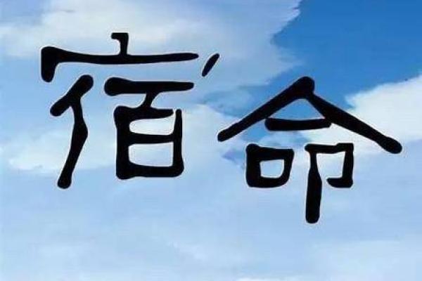 1984年出生者的命运：探寻人生的多重可能与价值